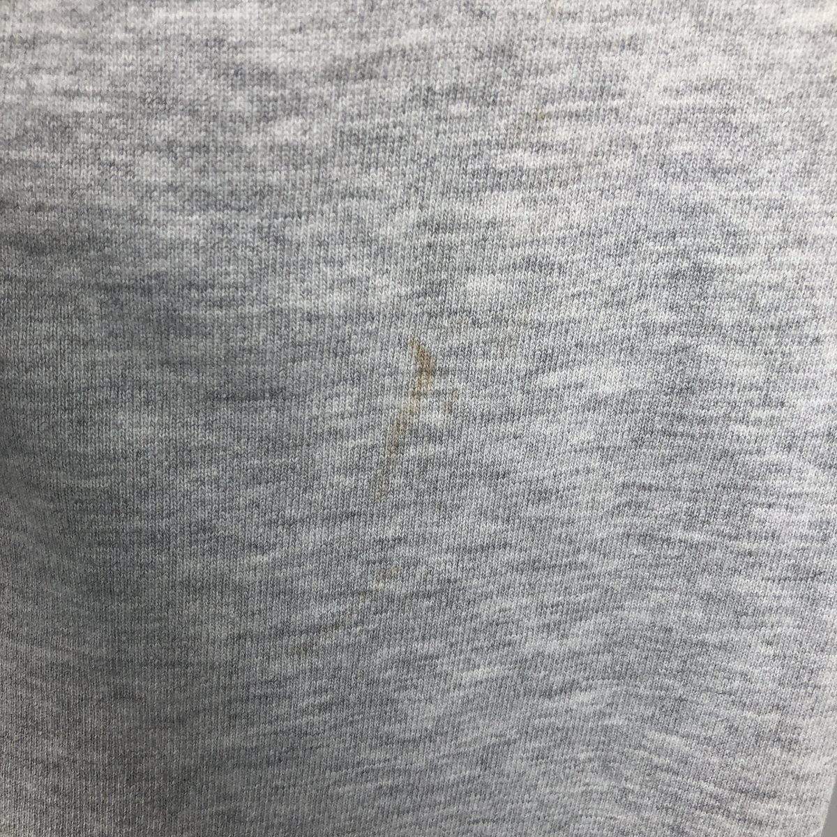 00'S Champion PREMIUM REVERSE WEAVE Premium Reverse Weave Sweat Pullover Hoodie Men's XL unclear gray type Vintage Second Hand